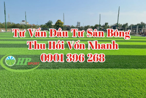 Cỏ được nhập khẩu từ các dòng cỏ nhân tạo đạt chuẩn FIFA